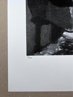 PABLO PICASSO 18/200 licencia ©Pablo Picasso - 3