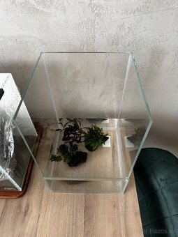 Predám nano paludarium - 3