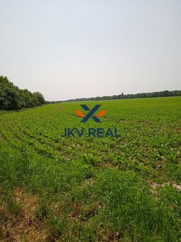 VÝRAZNE ZNÍŽENÁ CENA PREDAJ POZEMKOV V DECHTICIACH - 3