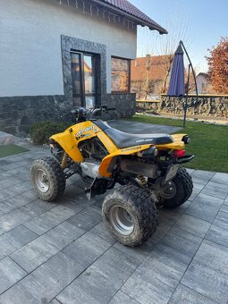 Can am ds 250 - 3