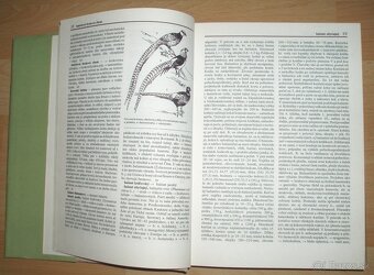 Poľovnícky náučný slovník - 3