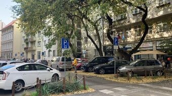 Veľkometrážny LOFT v centre BRATISLAVY 110m2, aj pre študent - 3