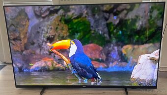 Android TV Philips 55PUS7406-139cm-4K - 3