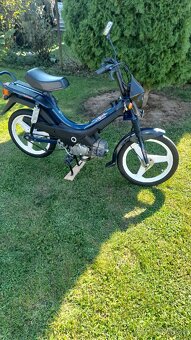 manet korado - 3
