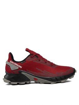 Salomon alphacross Gore-Tex - 3
