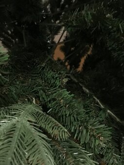 Vianočný stromček - 3