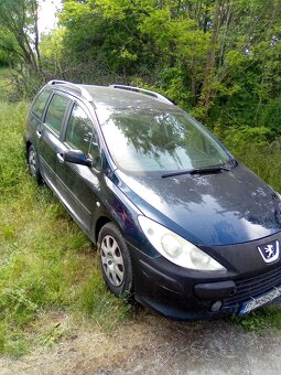 Peugeot 307SW - 3