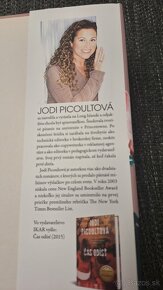 Jodi Picoultova - Veľké malickosti - 3