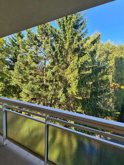 4-izbový (4x lodžia + 1x balkón) na Ružovej ul. - 3