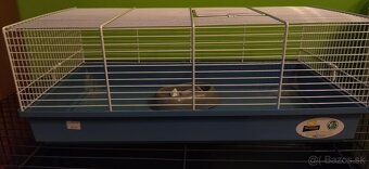 Klietky mórske prasiatko zajac - 3