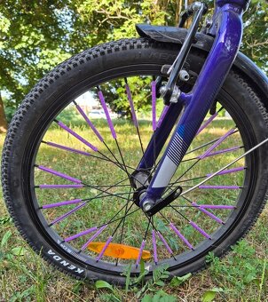 Cannondale Quick Girls 20 detský bicykel, fialová - 3
