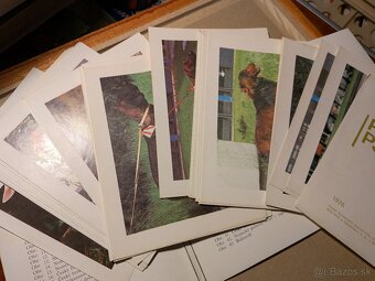 Poľovné psy slovom a obrazom - 3