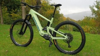 Predam Santa Cruz Heckler - 3