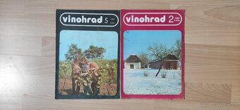 Hrozno, vinič, vínohradníctvo - 3