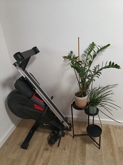 Veslovaci trenazer - 3