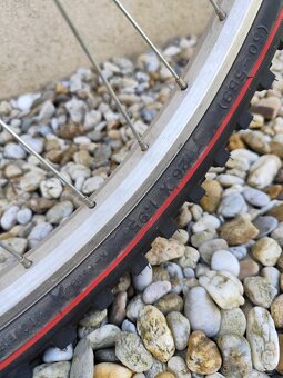 Kellys Radial 26" - 3