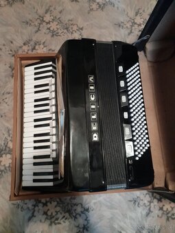 Akordeon, Harmonika, Delicia 120 - 3