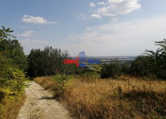 Rekreačný pozemok nad Račou neďaleko Stupavskej ulice - 2313 - 3