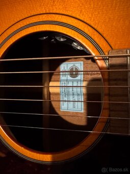 Epiphone inspired by texan - 3