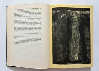 BÚRLIVÉ VÝŠINY + ďalšie knihy - 3