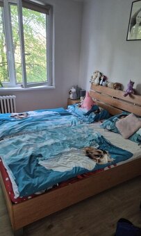 Na prenájom 3 izbový byt s balkónom, Kopernikova, Hlohovec - 3