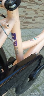 Bicykel Dema - 3