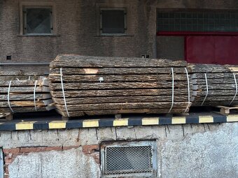 Predám rezivo Jaseň, šírka foršní od 50cm-130cm - 3