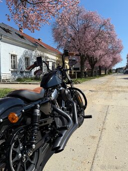 Harley-Davidson Sportster Forty-Eight (48) - 3