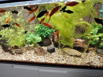 Predám 160l akvárium - 3