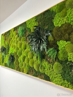 Machový obraz - rastliny - 3