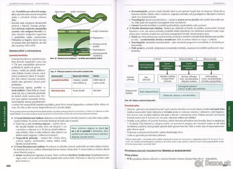 LÉKAŘSKÁ MIKROBIOLOGIE - REPETITORIUM (2020, PDF) - 3