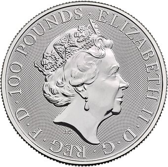 Investičná minca - platina 1 Oz, 2020 Royal Arms - 3