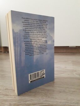 Brandon Sanderson - Mistborn 6 - Pouta dědictví - 3