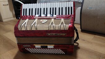 Akordeón Delicia Lignatone Aida VIII - 3