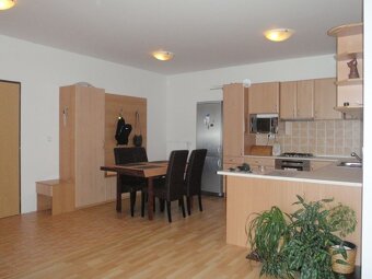 PRENAJOM mrte velky 2izb byt Raca klimatizovany pet-friendly - 3
