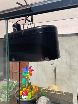 Terarium - 3