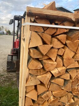 Palivo palivové drevo krbove buk - 3