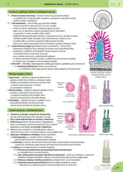 MEMORIX HISTOLOGIE (3. vydanie, PDF) - 3