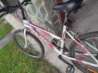 Bicykel Galaxy Erida - 3