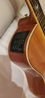 TAKAMINE - 3