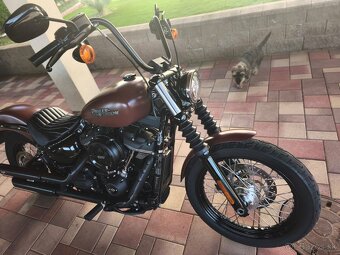 Harley Davidson Street Bob - 3