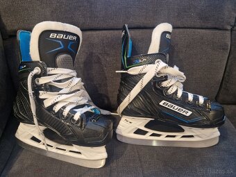 Bauer - 3