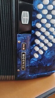 Akordeón Delicia Junior XIII - 3