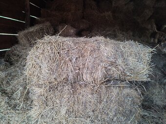 Balíky sena - 3
