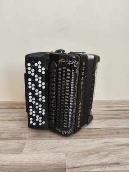 Bugari armando Champion cassotto - 3