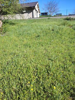 Ponúkam  peknú , veľkú ,  záhradu - 3