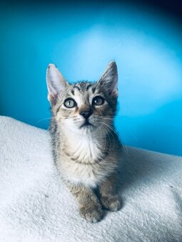 LOU SI HĽADÁ DOMOV VO VNÚTRI - 3