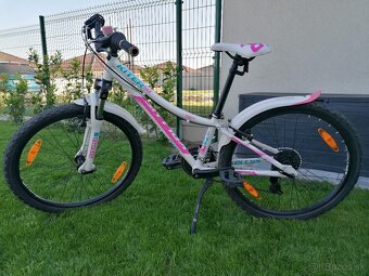 1. Bicykel - 3