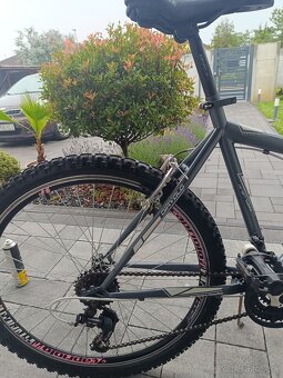 Dievčenský bicykel capriolo v.k.26" - 3