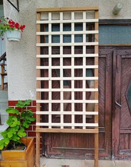 Pergola na hrozno, kvety atď. - 3